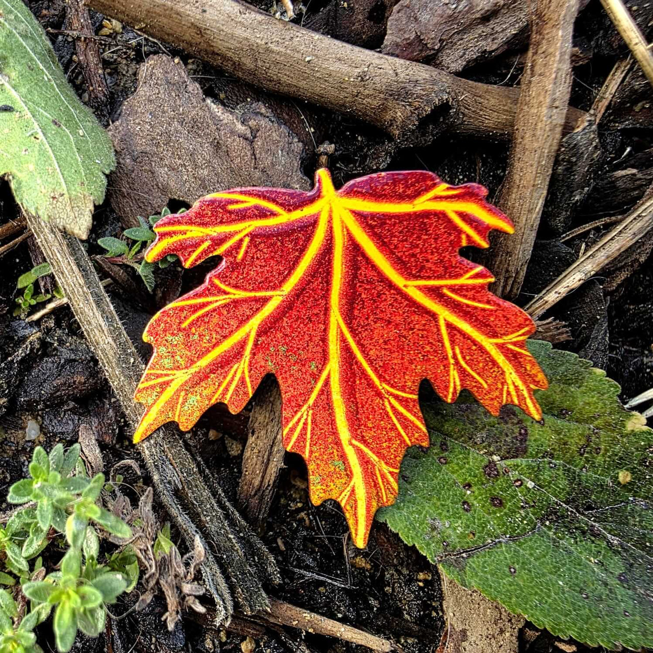 Red Maple Leaf Brooch