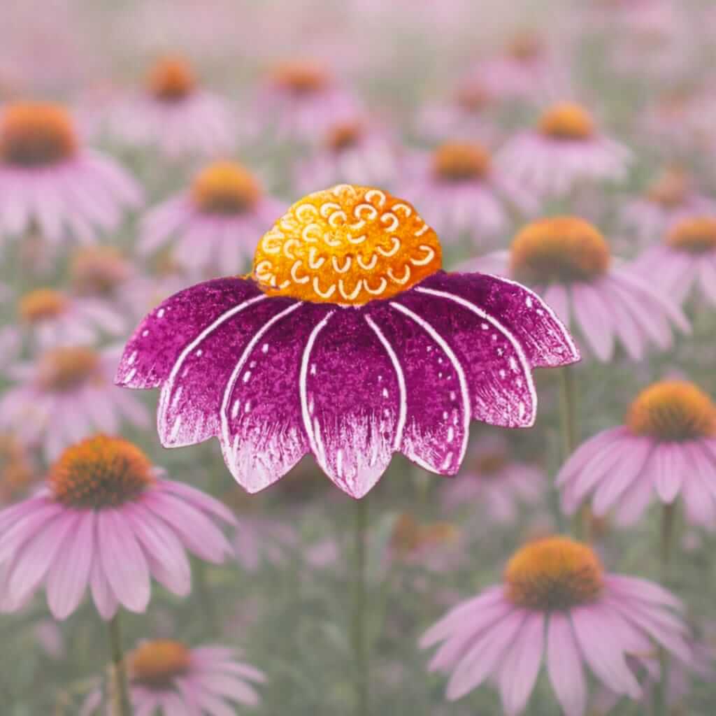 Echinacea brooch